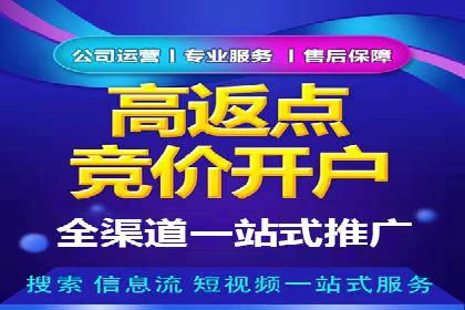 搜索引擎营销（SEM）在移动端的推广案例